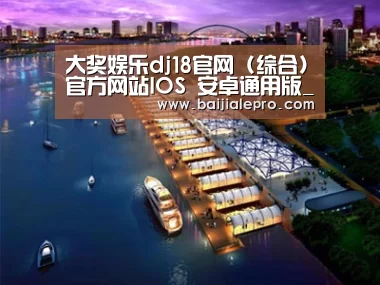 案例展示八